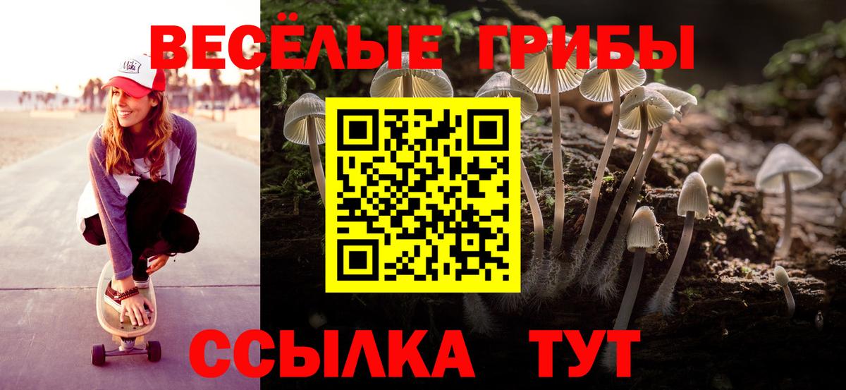 Псилоцибиновые грибы Magic Shrooms Коммунар