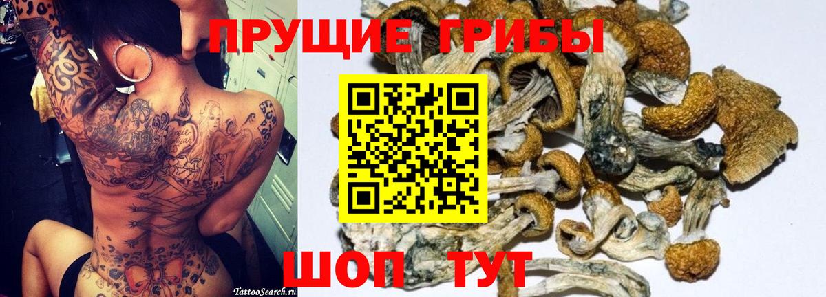 Коммунар  Псилоцибиновые грибы прущие грибы  Вход с VPN 