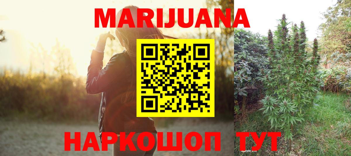 Бошки Шишки план  Вход с VPN  Канабис THC 21%  Коммунар  Каннабис Bruce Banner  Марихуана планчик 